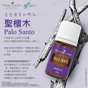 芳香日常小用法：聖檀木 palo santo